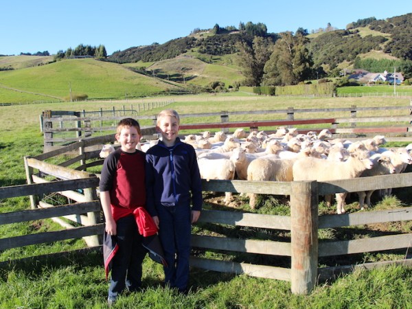 Thoughts on 2 Weeks in New Zealand