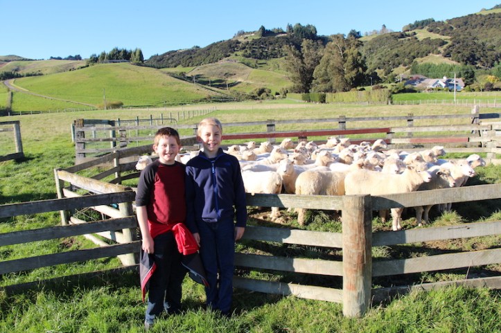 Thoughts on 2 Weeks in New Zealand