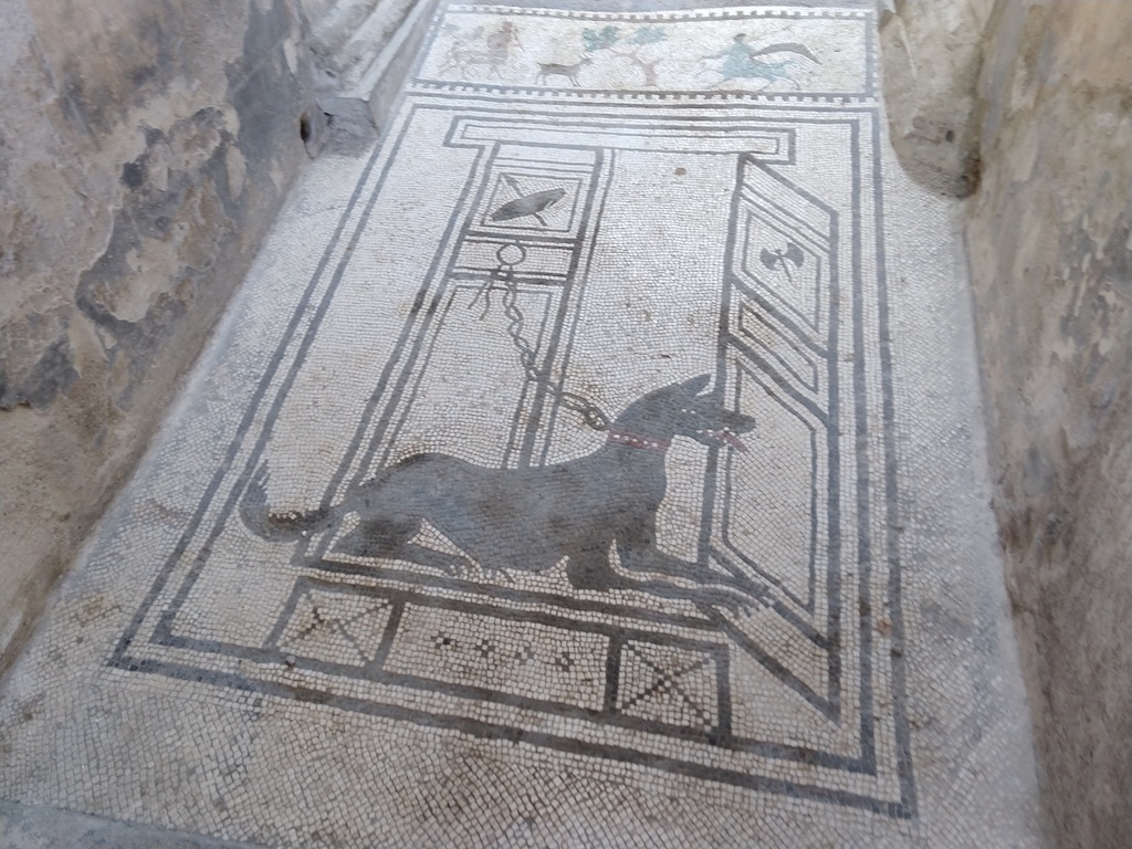 IMG_20180621_115905737