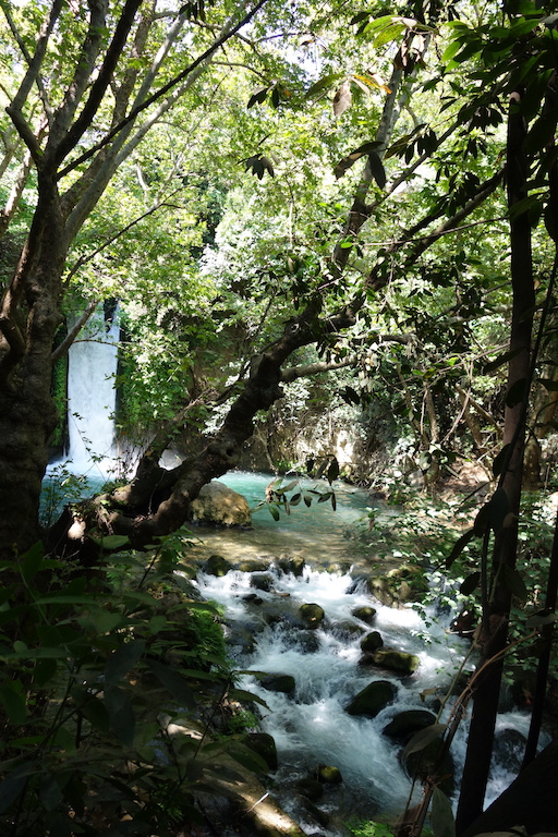 Waterfall in Banias Nature Reserve in Israel.
