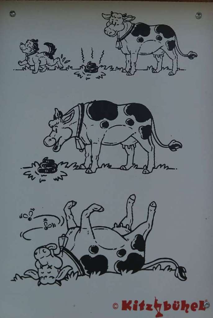 d4e5fb49-42f6-40c7-a0b4-2970279aa4c2