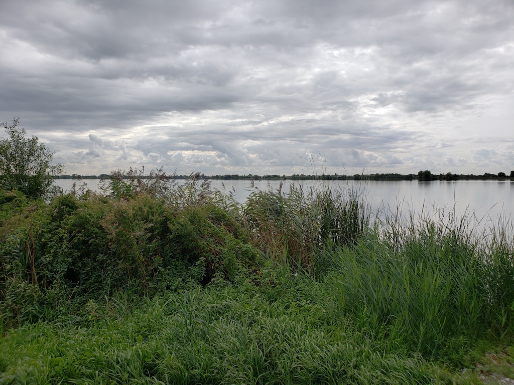 Biking from Amsterdam to Gouda in the Netherlands.