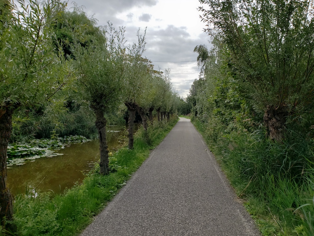 Biking from Amsterdam to Gouda in the Netherlands.