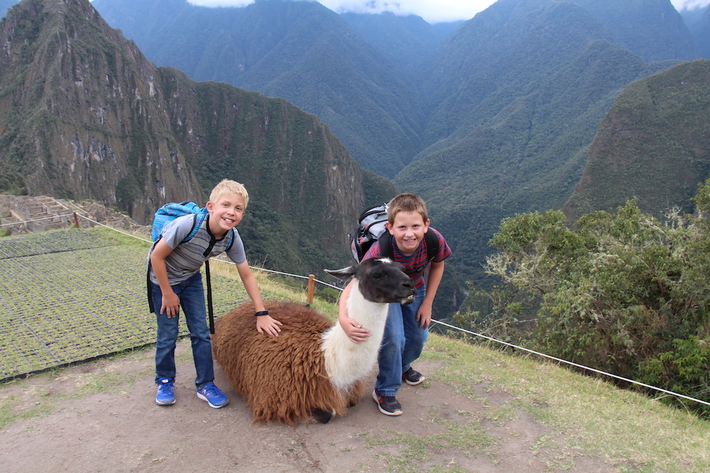Petting the llamas at Machu Picchu in Peru.