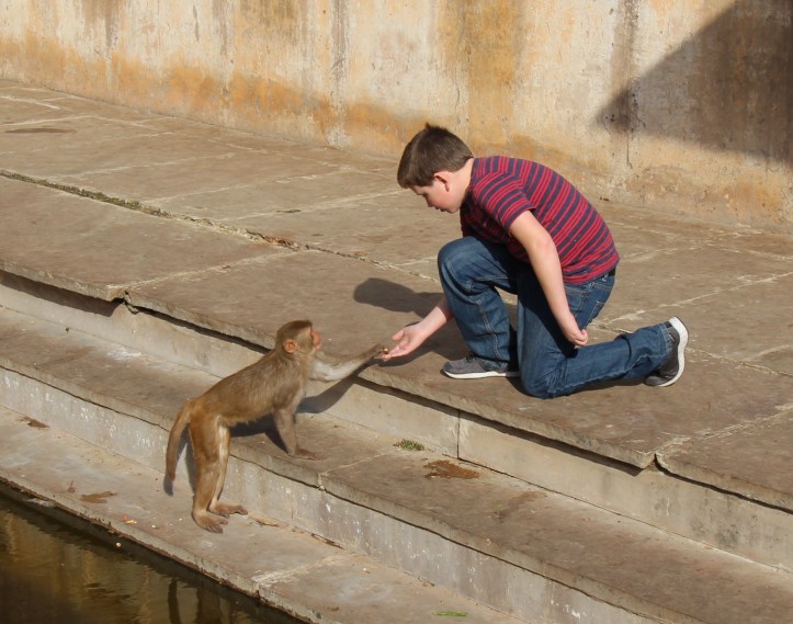 India Day 12: Jaipur to Agra