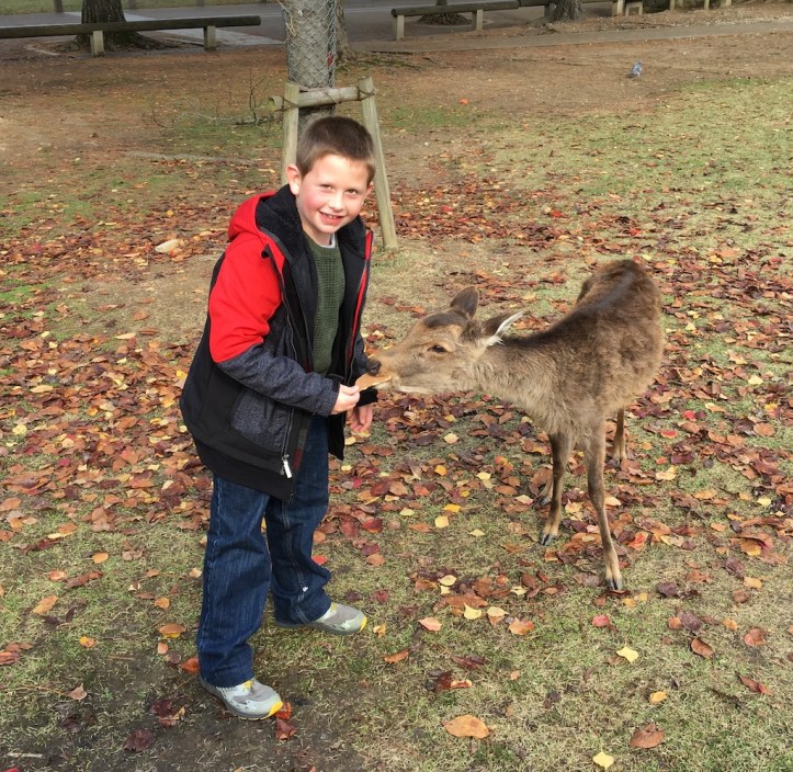 Japan 2016 Day 5: Inari, Nara, and Kyoto