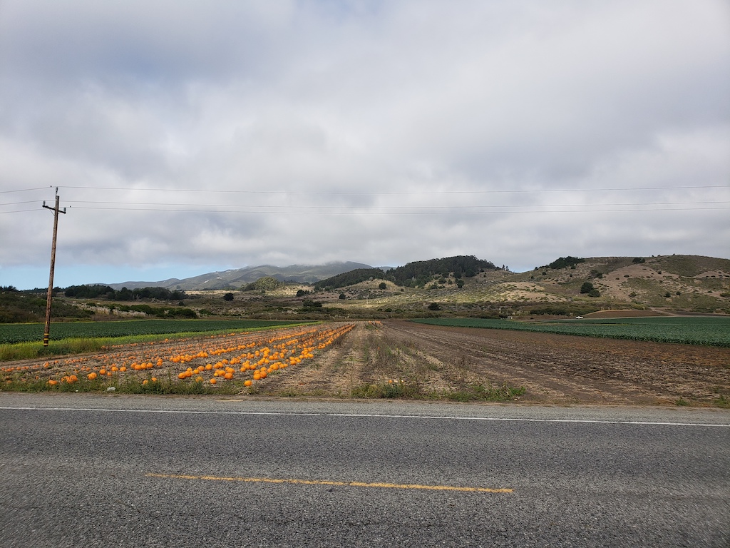 Farm while biking from San Francisco to Half Moon Bay in California.
