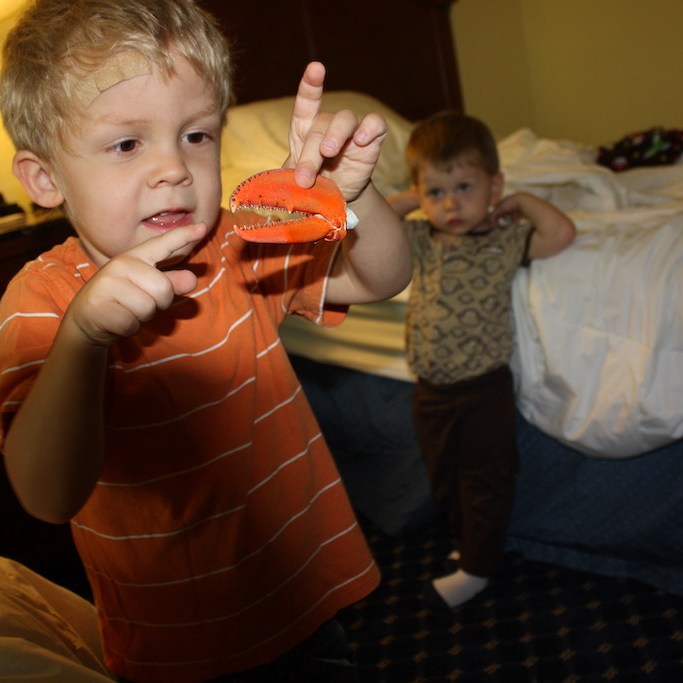 Boy playing with a lobster claw in a hotel room in Maine.