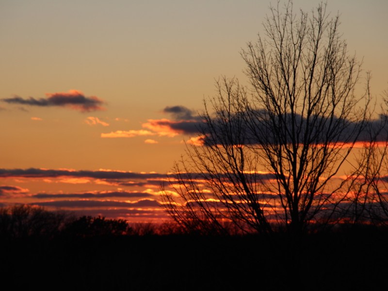 South/Southeast Road Trip: Texas to Tennessee