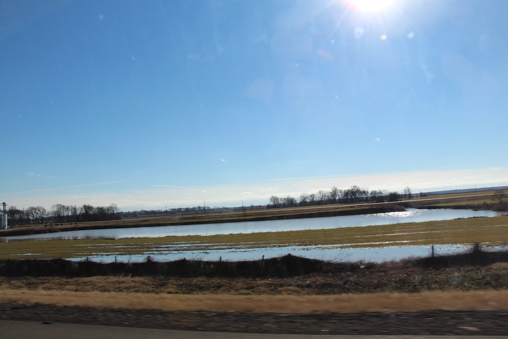 Arkansas landscape while taking a family road trip.