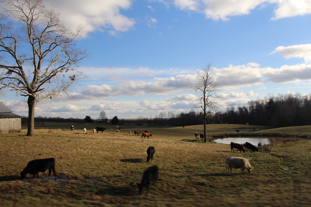 Landscape while driving between Alabama and Tennessee.