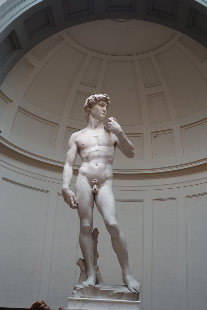 The statue of David in the Accademia in Florence, Italy