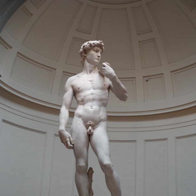 The statue of David in the Accademia in Florence, Italy