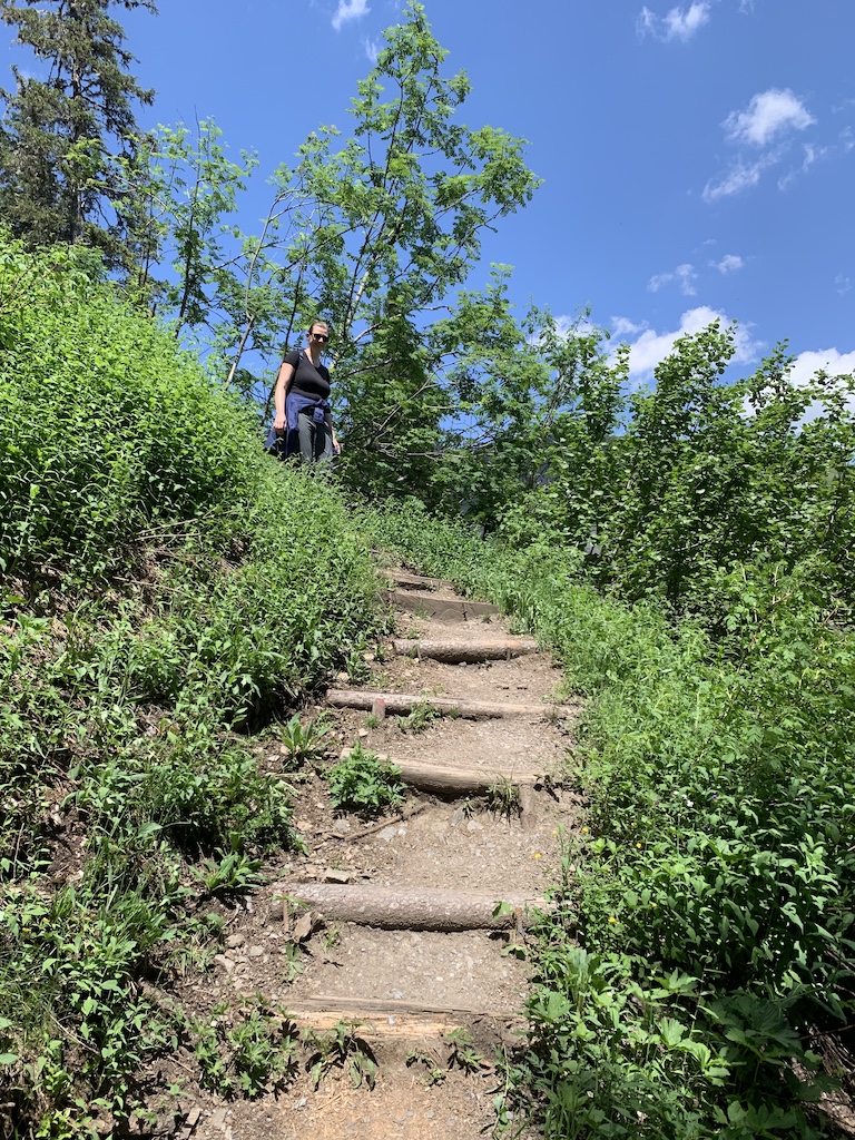 Hike from Bachalpsee to Bort in the Jungfrau Region of Switzerland.