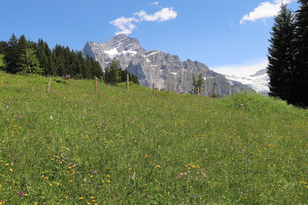 Hike from Bachalpsee to Bort in the Jungfrau Region of Switzerland.
