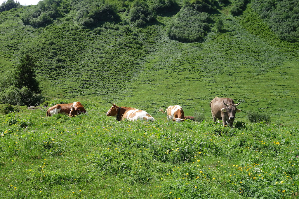 Hiking the North Face Trail in the Jungfrau Region of Switzerland.