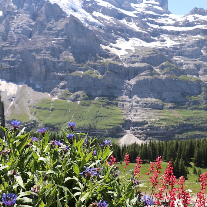 View of Swiss Alps in the Jungfrau Region of Switzerland