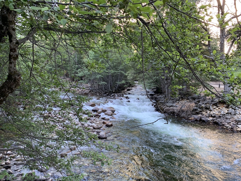 A stream in Yosemite National Park in California.