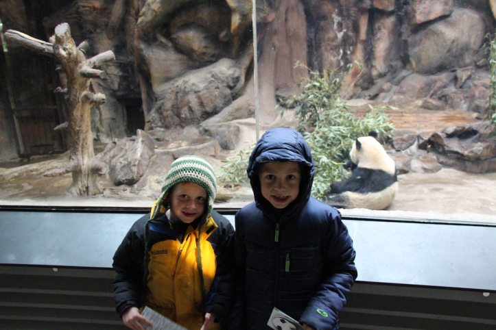 Beijing, China: Day 5 – Pandas/Zoo