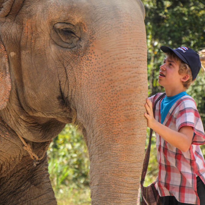 Boy enjoying the elephants at Maerim Elephant Sanctuary near Chiang Mai, Thailand.