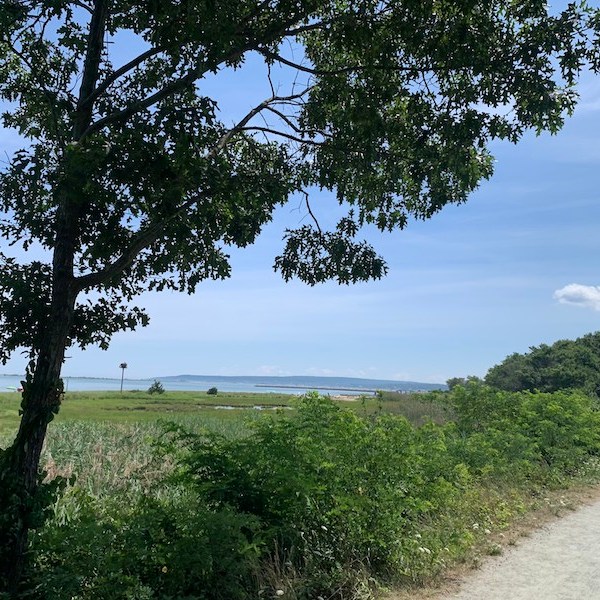 Biking from Boston to Plymouth.
