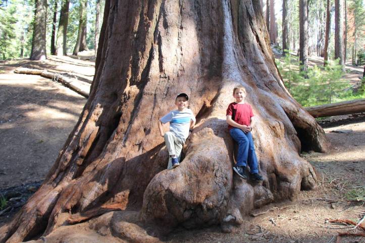 Kings Canyon National Park