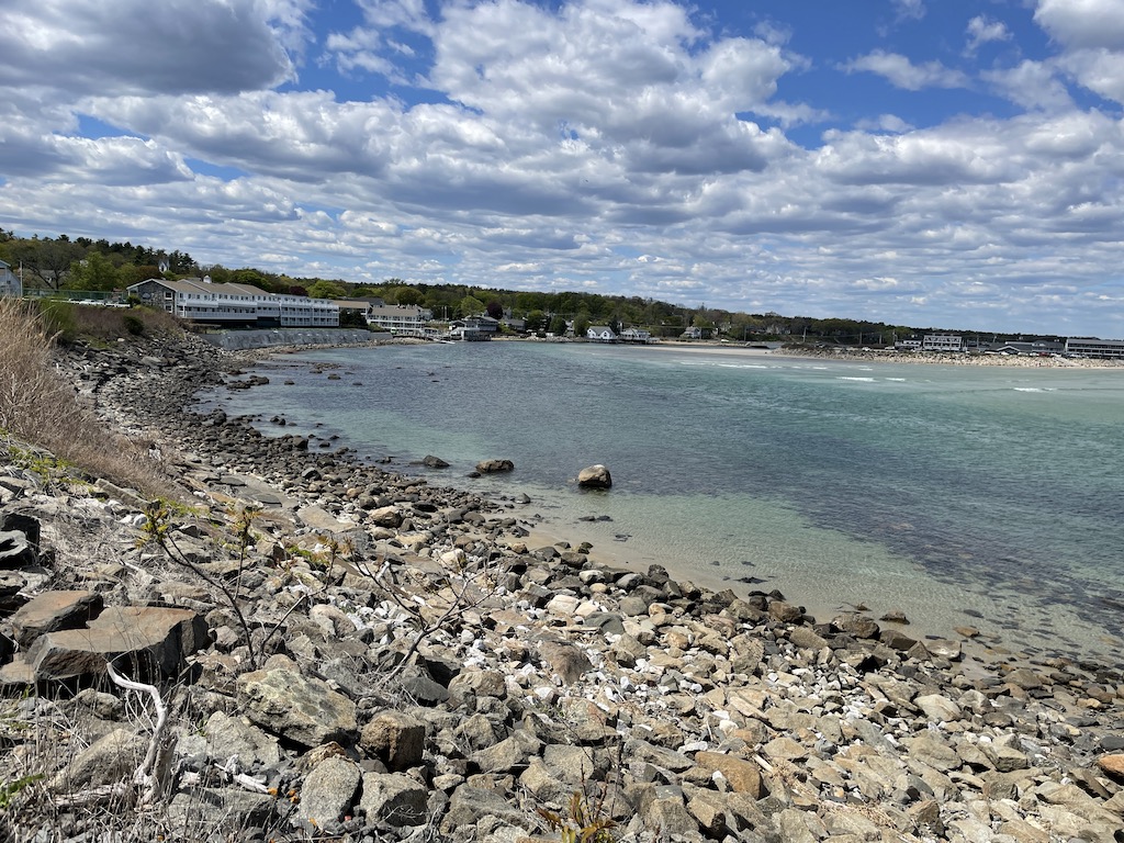 Flowers along the Coastal Walk in Ogunquit, Maine.