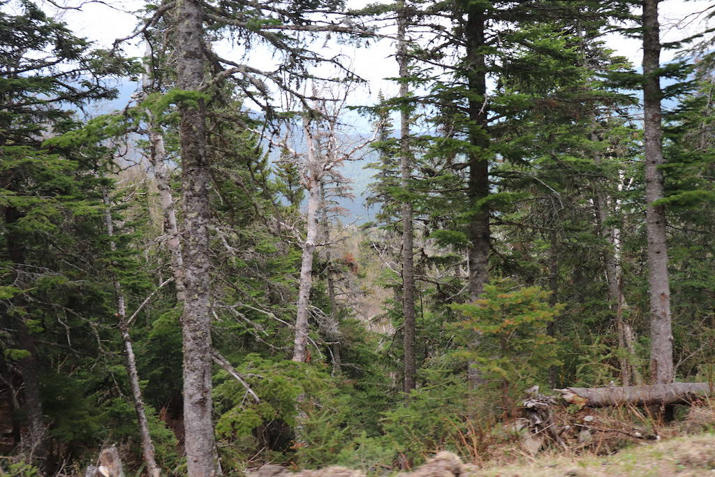 Driving Mount Washington State Park in New Hampshire.