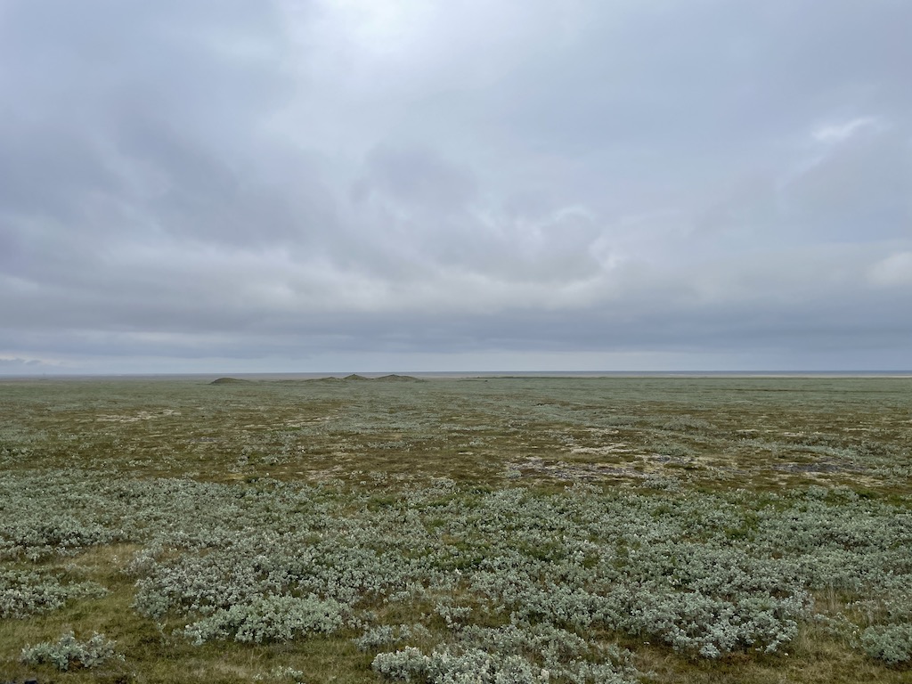 Landscapes while driving from Vík to Seyðisfjörður in Iceland.