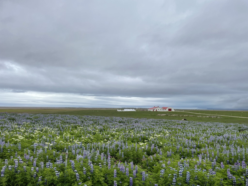 Landscapes while driving from Vík to Seyðisfjörður in Iceland.