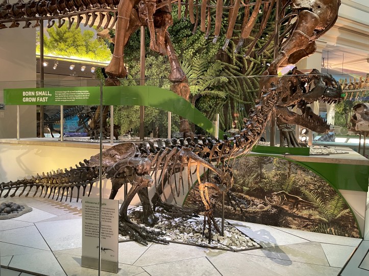 Smithsonian National Museum of Natural History