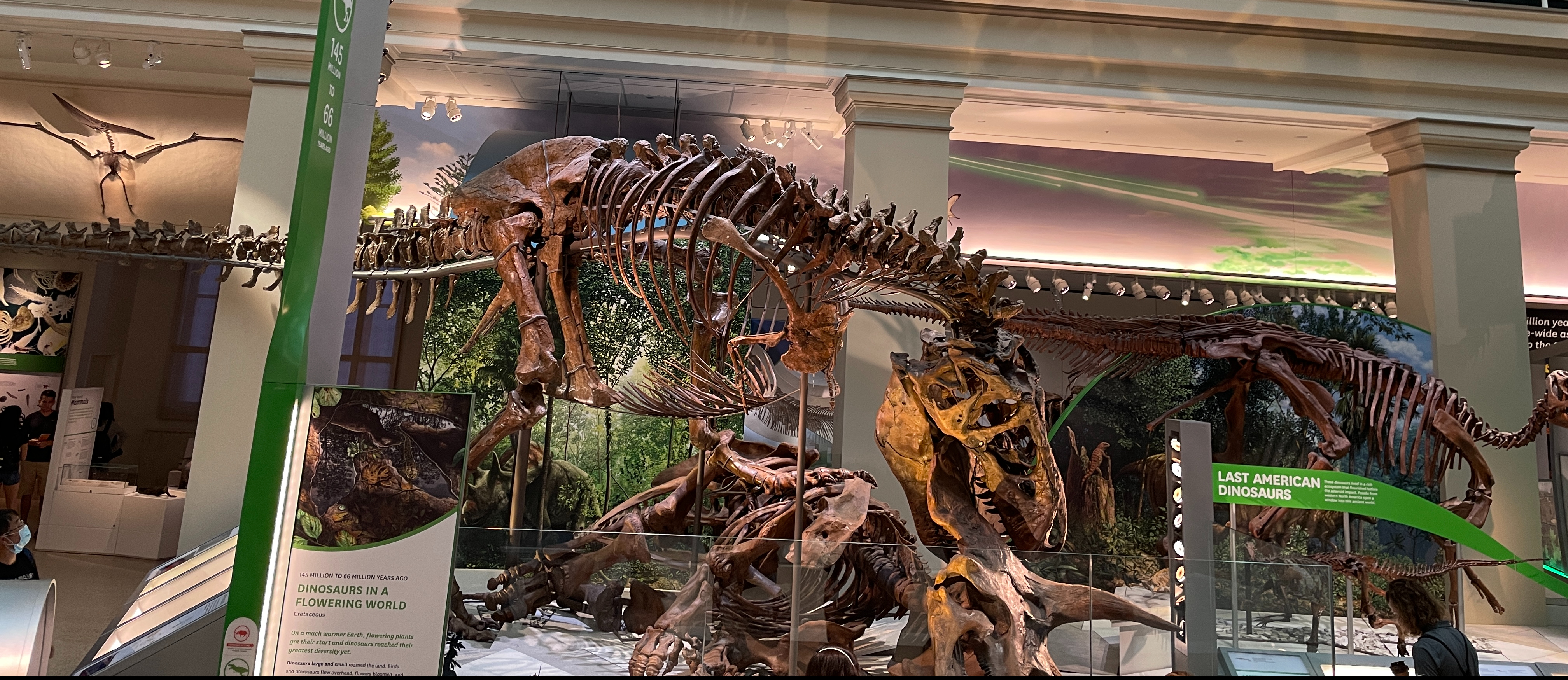 Dinosaur at the Smithsonian National Museum of Natural History in Washington, D.C.