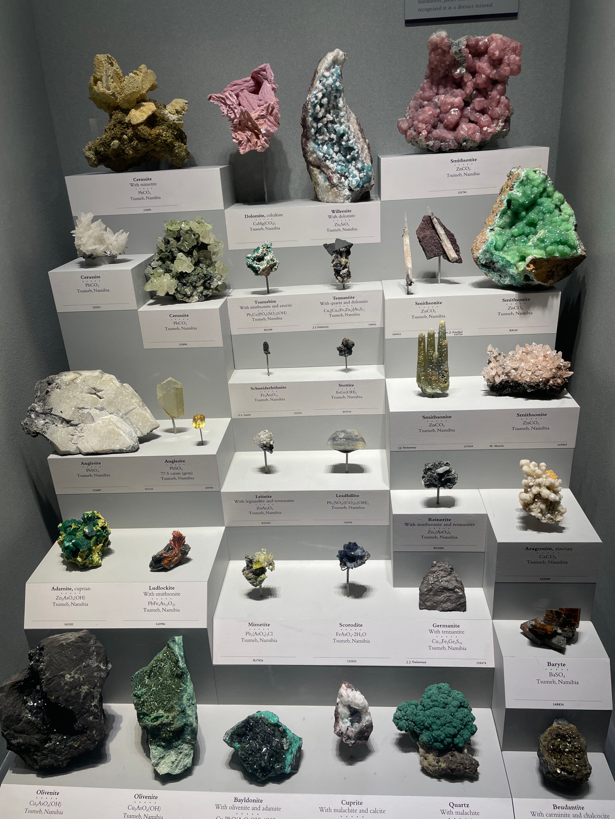 Smithsonian National Museum of Natural History – Adventures of the 4 JLs