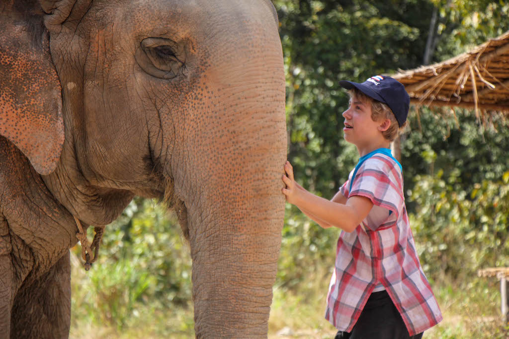 Boy admiring an elephant.