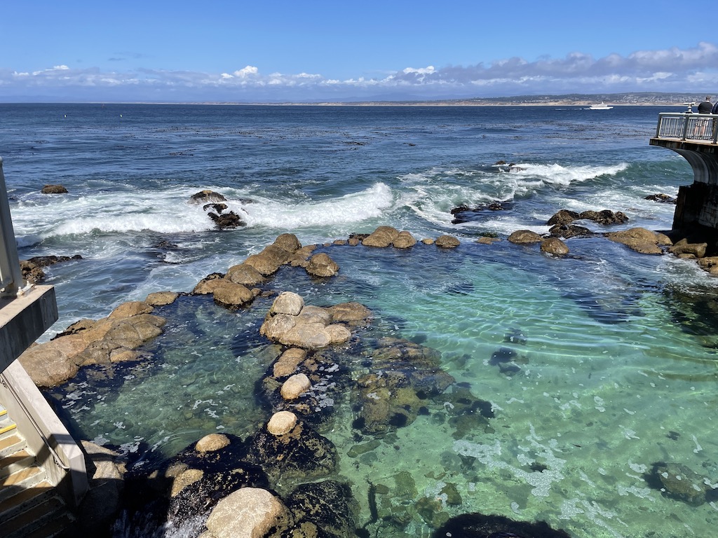 Life on the Bay exhibit at the Monterey Bay Aquarium in Northern California.