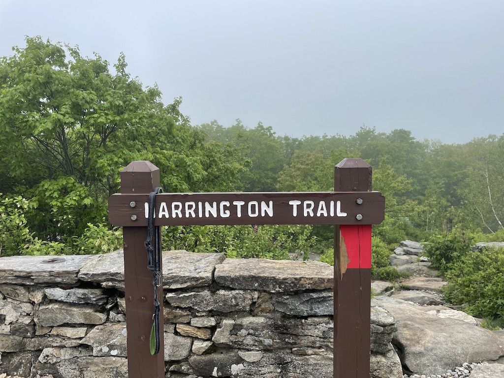 Hiking Wachusett Mountain in Massachusetts.