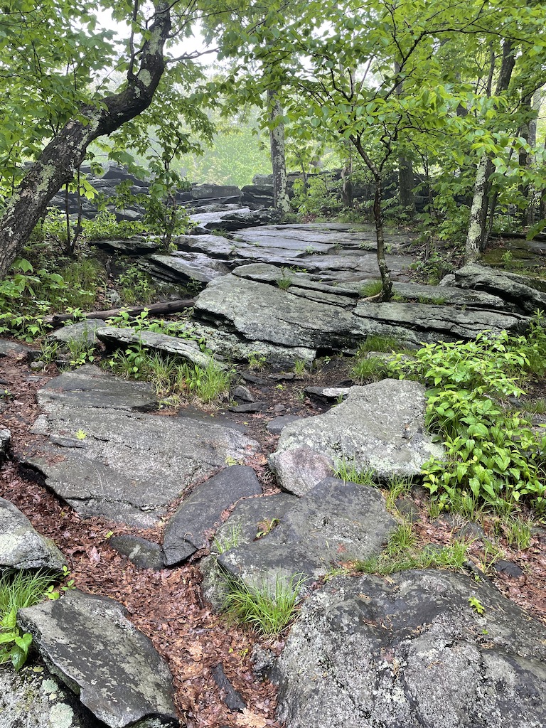Hiking Wachusett Mountain in Massachusetts.
