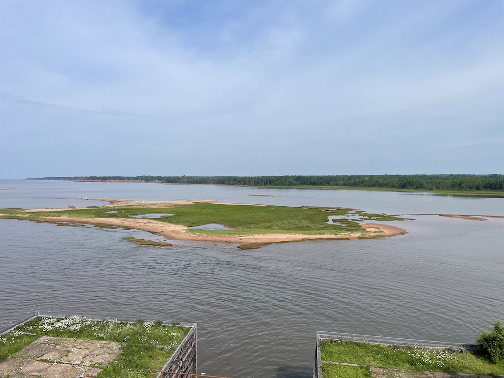 Flowers by Wood Island Ferry Terminal on Prince Edward Island, Canada.