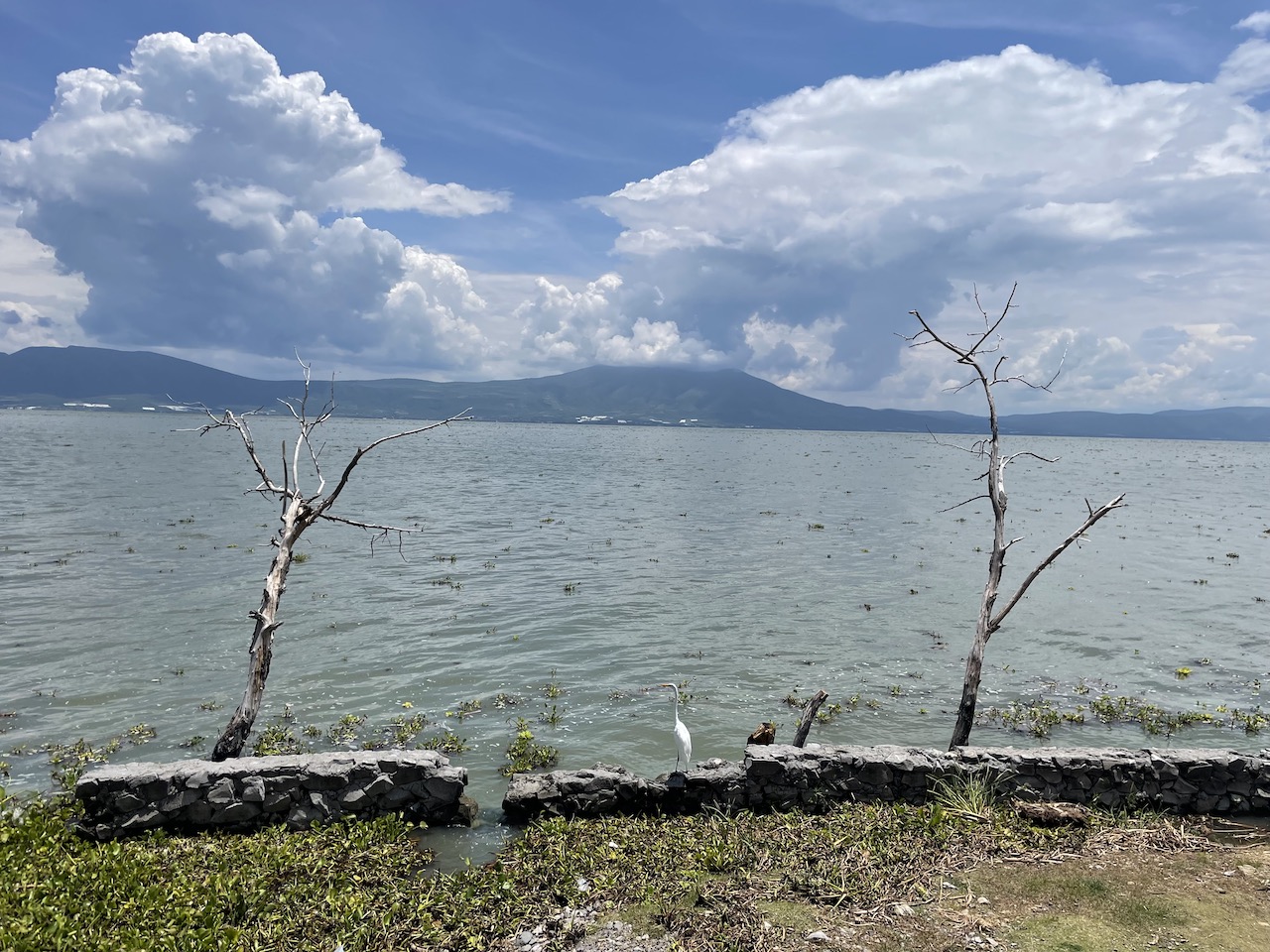 View of lake from Ajijic, Mexico.