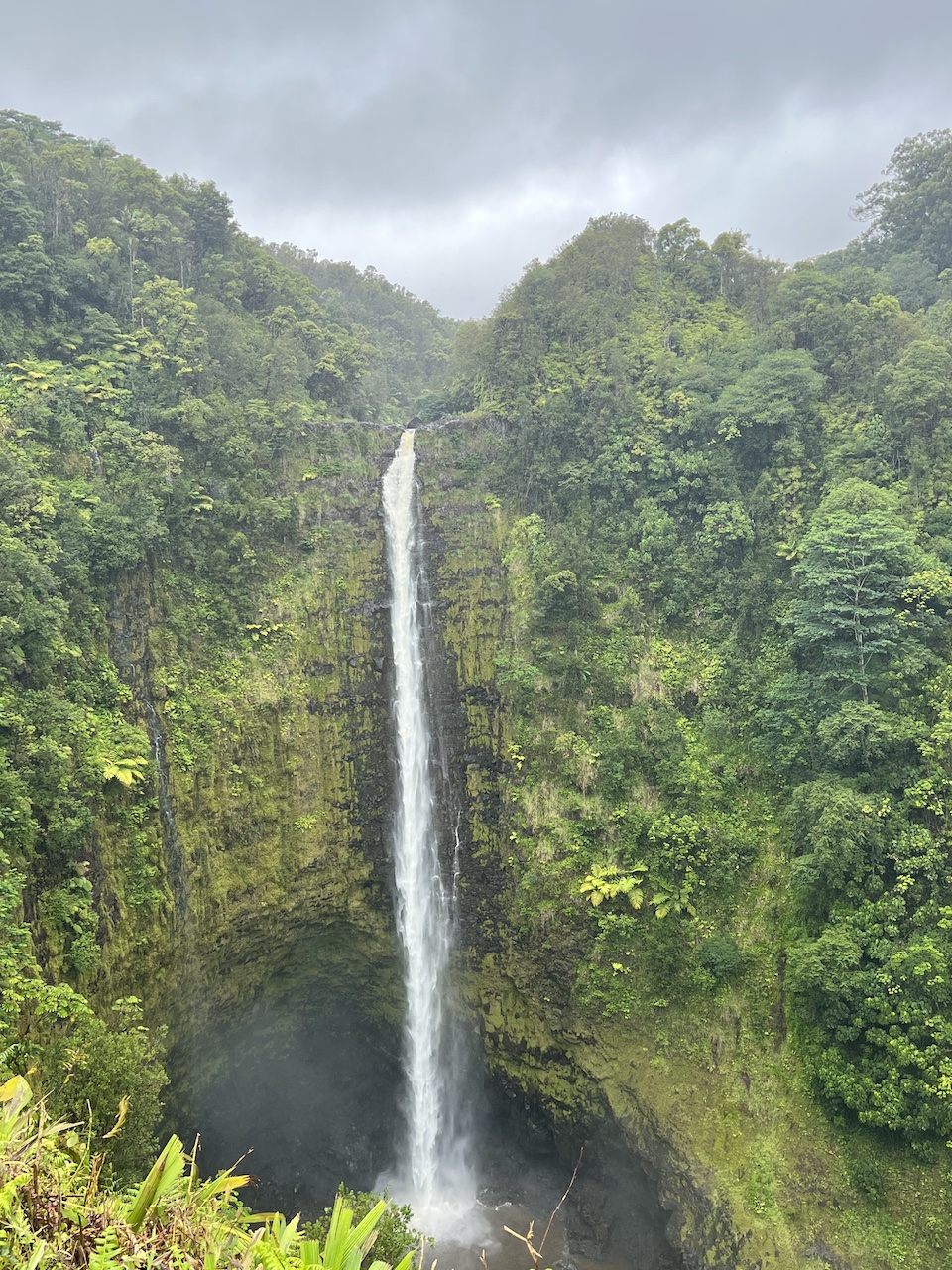 View of Akaka Falls on the Big Island of Hawaii.