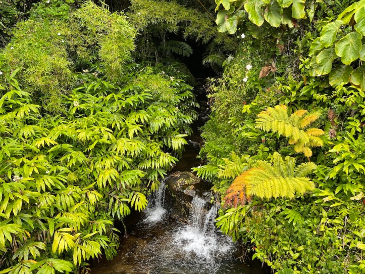 Small waterfall on the Big Island of Hawaii.