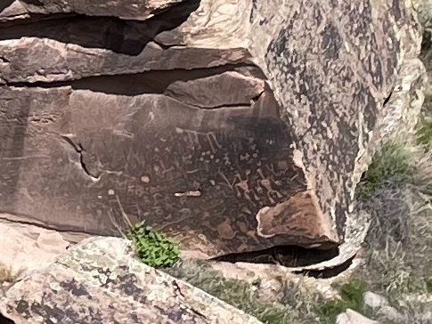 Newspaper Rock at the Petrified Forest National Park