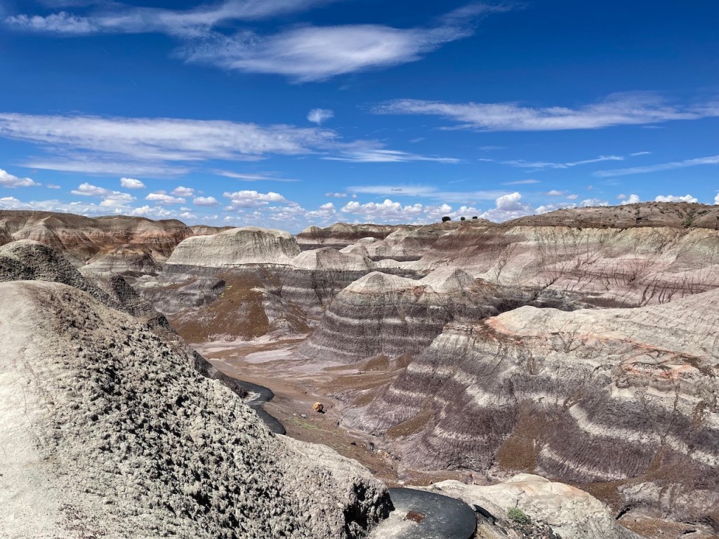 Blue Mesa Trail at Petrified Forest National Park