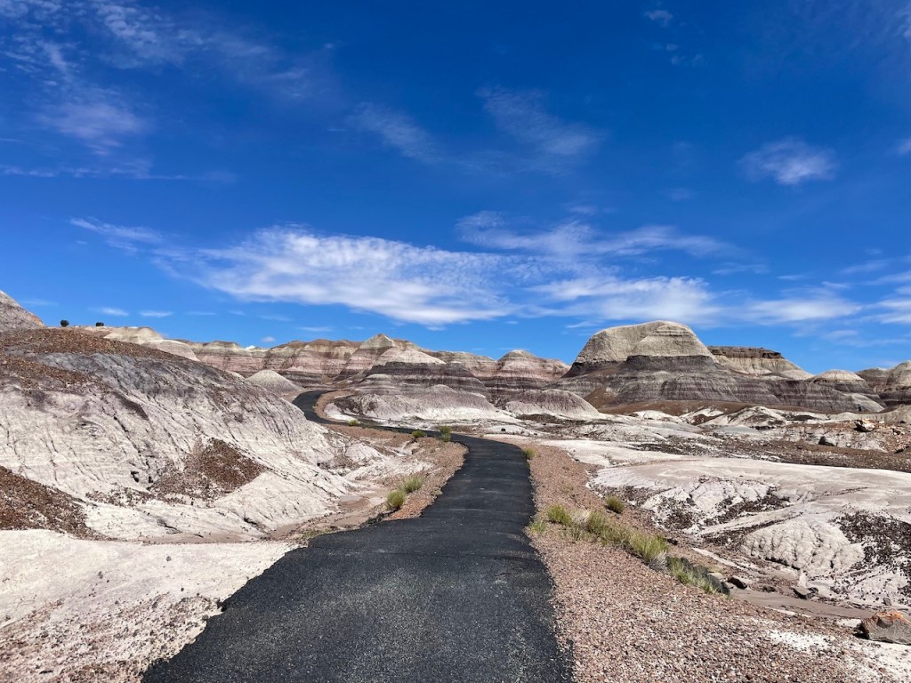 Hiking the Blue Mesa Trail at the Petrified Forest National Park