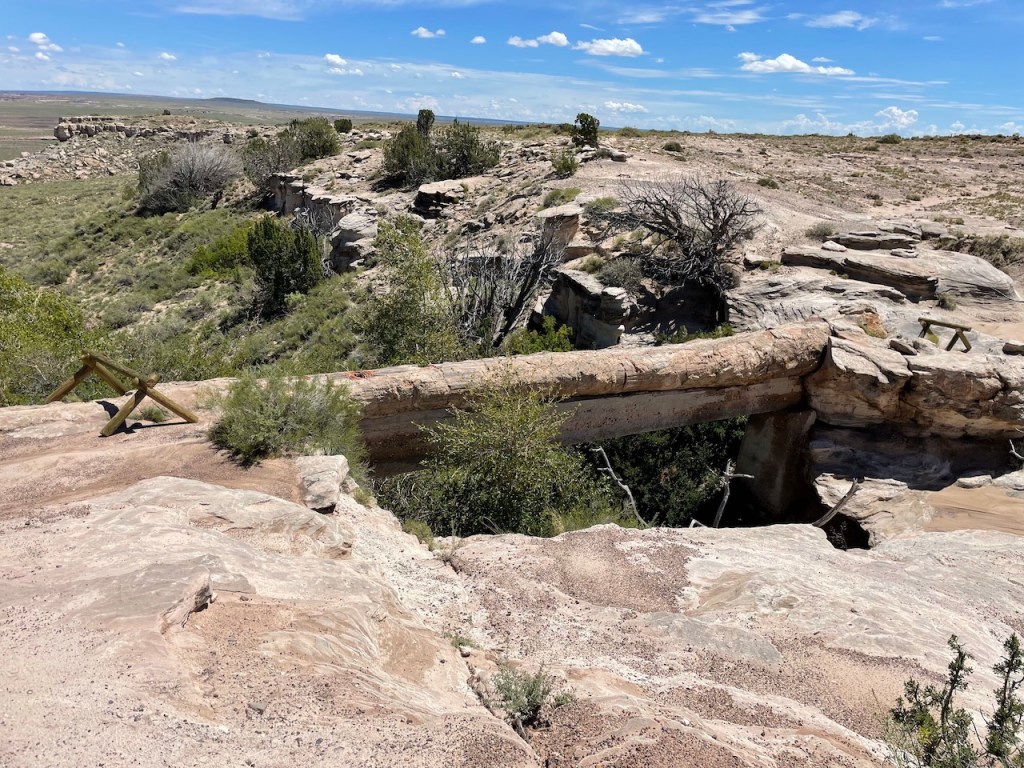 Agate Bridge at the Petrified Forest National Park