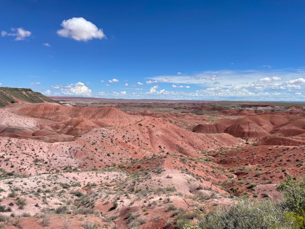 Viewing the painted desert at Petrified Forest National Park