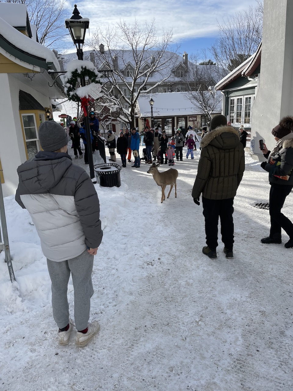 Skiing at Mont Tremblant, Canada.
